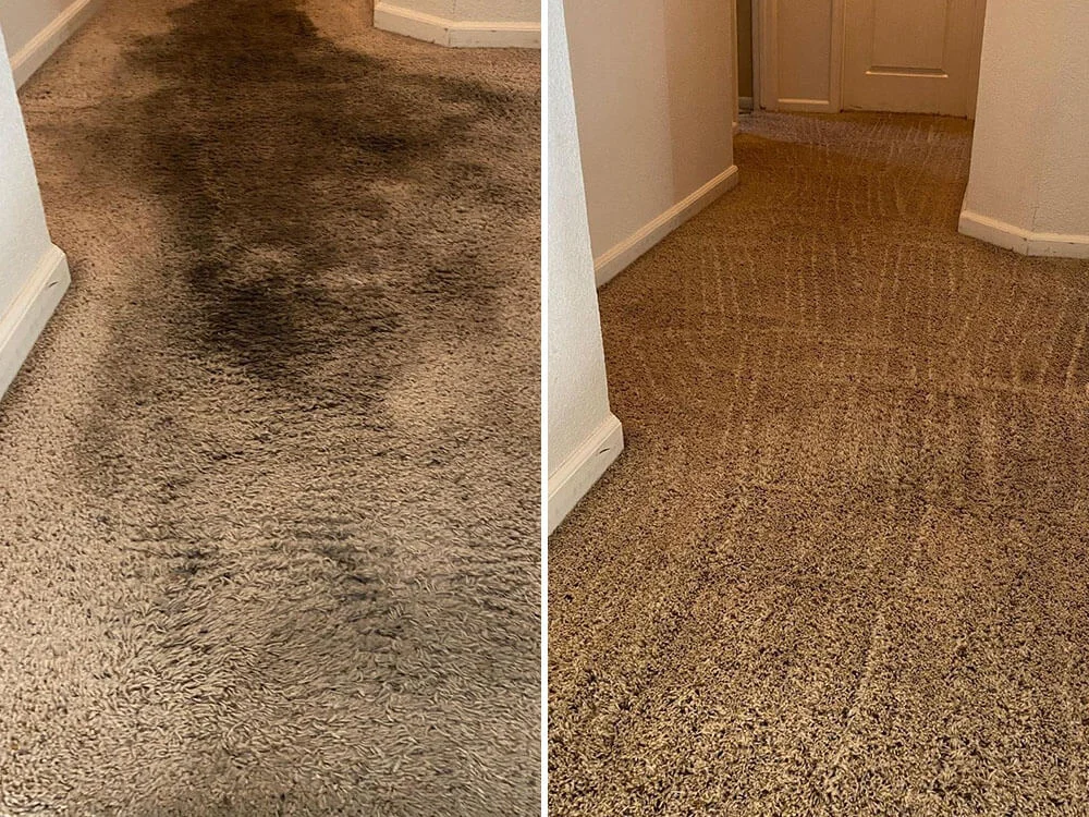 Before-After-Carpet-Cleaning-2