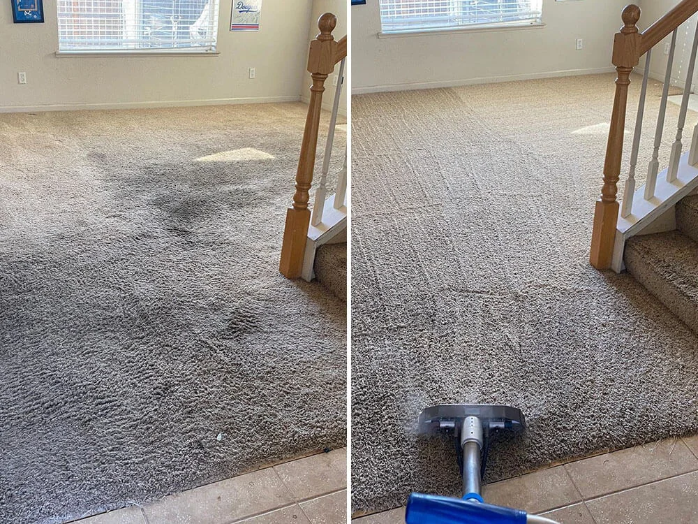 Before-After-Carpet-Cleaning-4