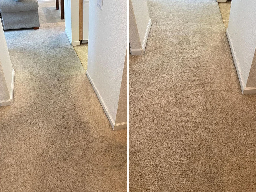Before-After-Carpet-Cleaning-5
