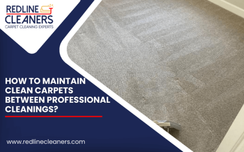 5 Ways To Maintain Clean Carpets Between Professional Cleanings