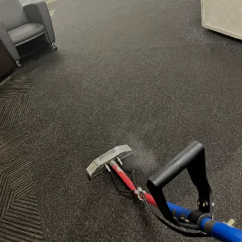 carpet cleaning before -03